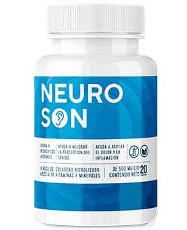 neuroson